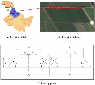 Weed detection in soybean fields using improved YOLOv7 and evaluating herbicide reduction efficacy